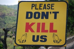 wpid-2015-11-07-06.30.45.jpg1